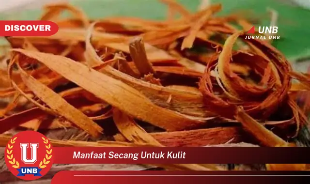 manfaat secang untuk kulit