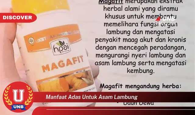 manfaat adas untuk asam lambung