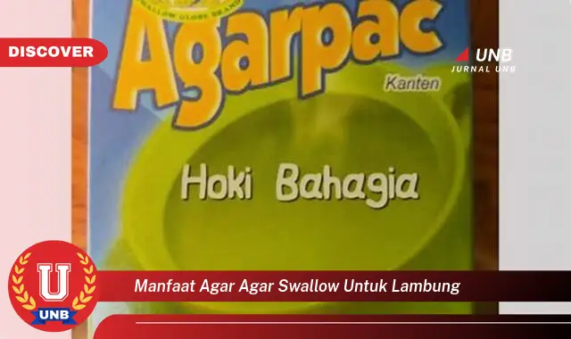 manfaat agar agar swallow untuk lambung