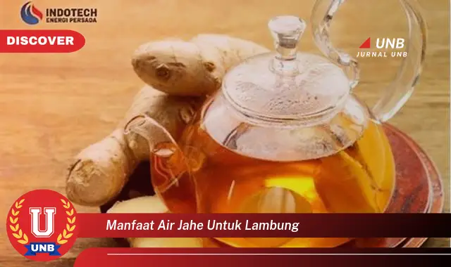 manfaat air jahe untuk lambung