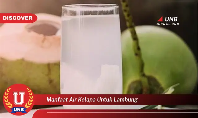manfaat air kelapa untuk lambung manfaat air kelapa untuk lambung