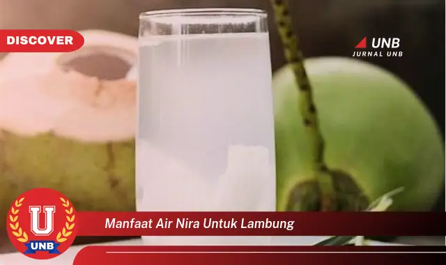 manfaat air nira untuk lambung