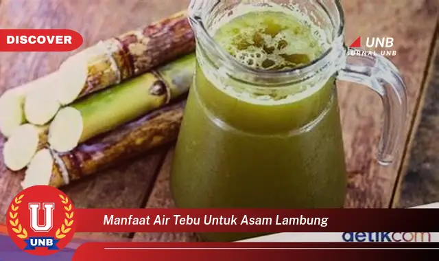 manfaat air tebu untuk asam lambung