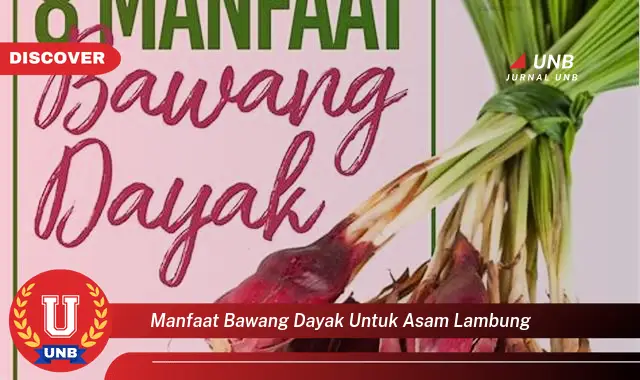 manfaat bawang dayak untuk asam lambung