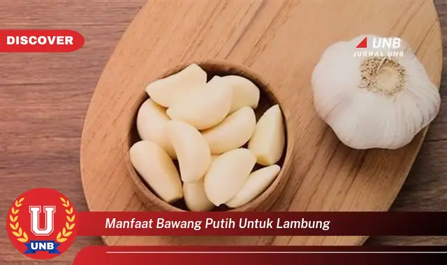 manfaat bawang putih untuk lambung