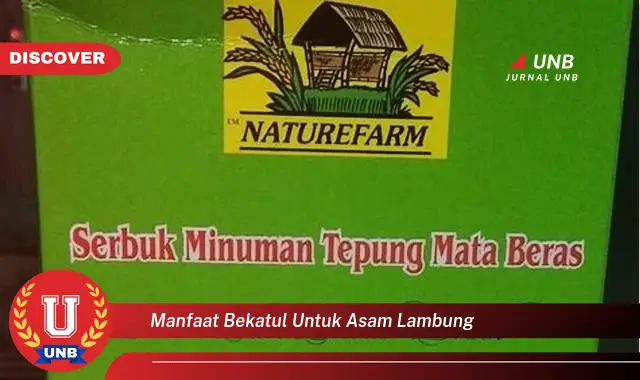 manfaat bekatul untuk asam lambung