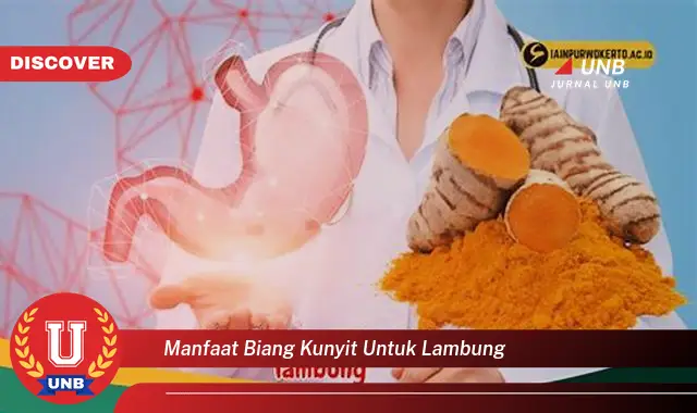 manfaat biang kunyit untuk lambung