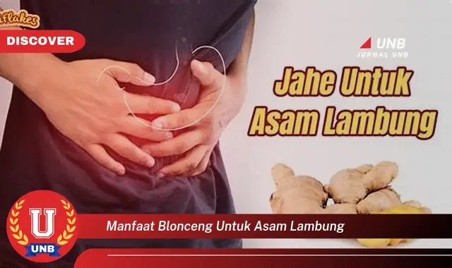 manfaat blonceng untuk asam lambung