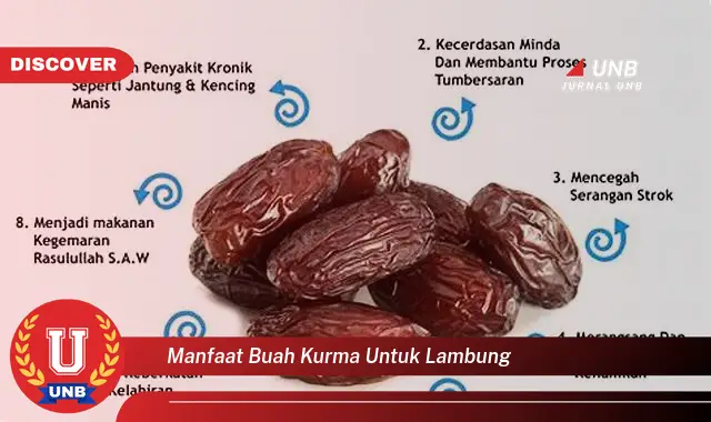 manfaat buah kurma untuk lambung manfaat buah kurma untuk lambung