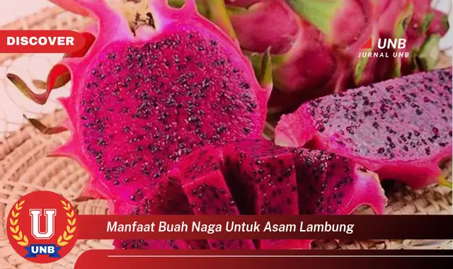 manfaat buah naga untuk asam lambung