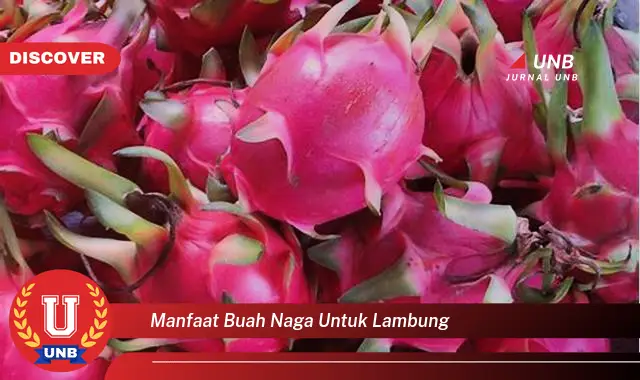 manfaat buah naga untuk lambung