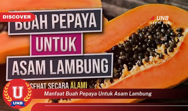 manfaat buah pepaya untuk asam lambung