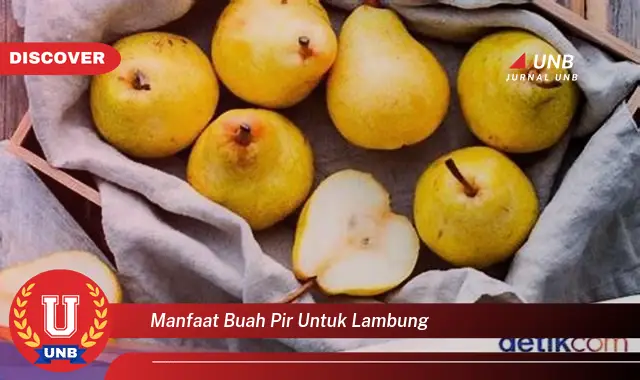 manfaat buah pir untuk lambung