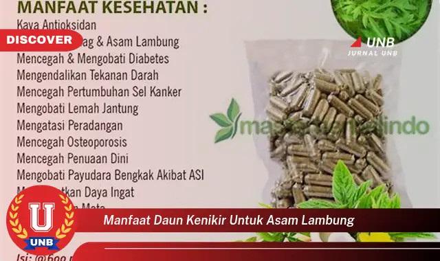 Intip 6 Manfaat Daun Kenikir Yang Jarang Diketahui Untuk Atasi Asam Lambung