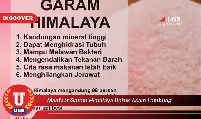 manfaat garam himalaya untuk asam lambung