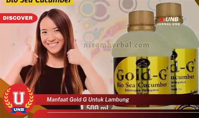 manfaat gold g untuk lambung