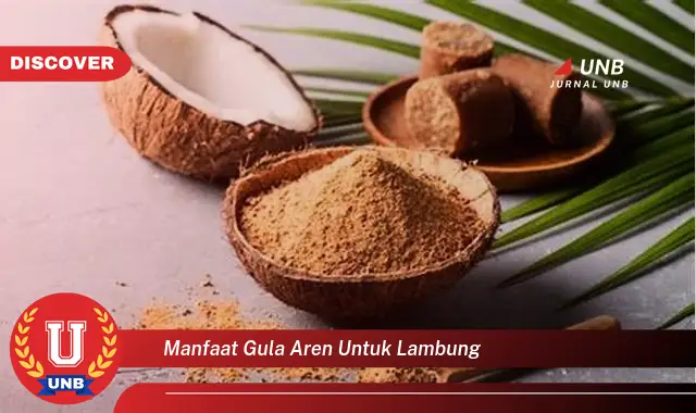 manfaat gula aren untuk lambung