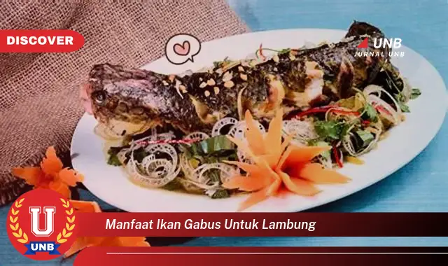 manfaat ikan gabus untuk lambung