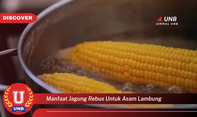 manfaat jagung rebus untuk asam lambung manfaat jagung rebus untuk asam lambung
