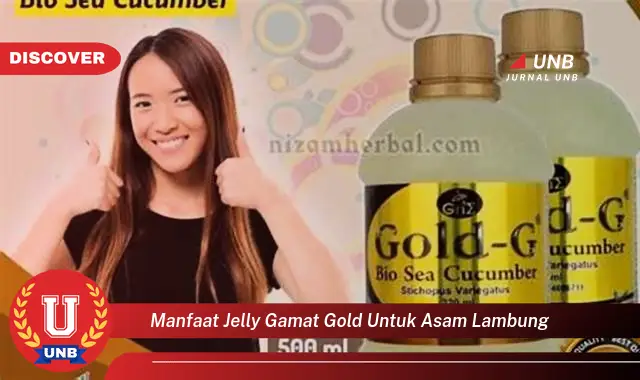 manfaat jelly gamat gold untuk asam lambung