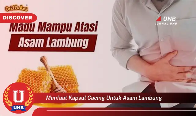 manfaat kapsul cacing untuk asam lambung