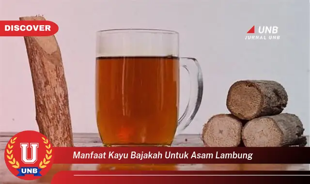 manfaat kayu bajakah untuk asam lambung