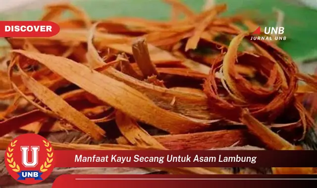 manfaat kayu secang untuk asam lambung