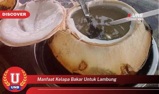 manfaat kelapa bakar untuk lambung