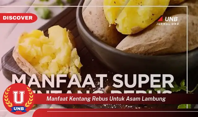 manfaat kentang rebus untuk asam lambung manfaat kentang rebus untuk asam lambung