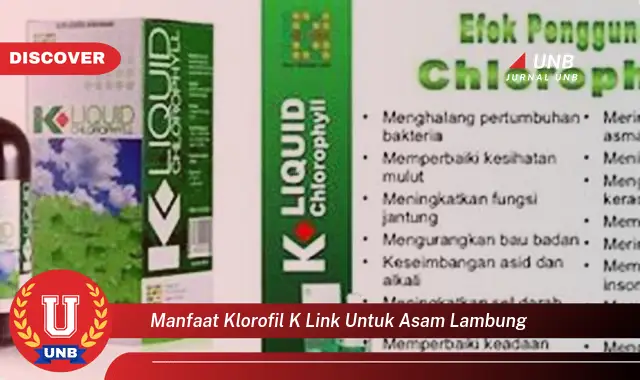 manfaat klorofil k link untuk asam lambung