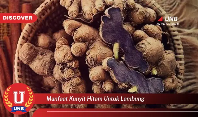 manfaat kunyit hitam untuk lambung