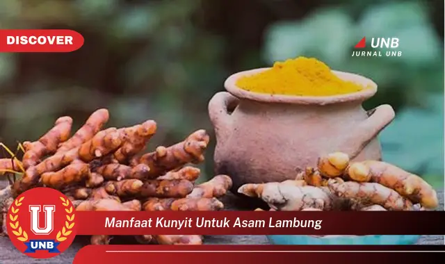 manfaat kunyit untuk asam lambung manfaat kunyit untuk asam lambung