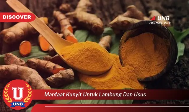 manfaat kunyit untuk lambung dan usus manfaat kunyit untuk lambung dan usus