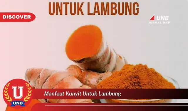 manfaat kunyit untuk lambung