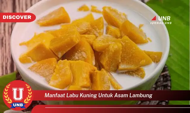 manfaat labu kuning untuk asam lambung