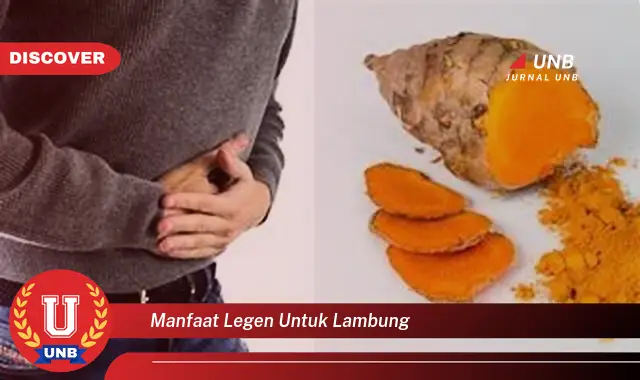 manfaat legen untuk lambung