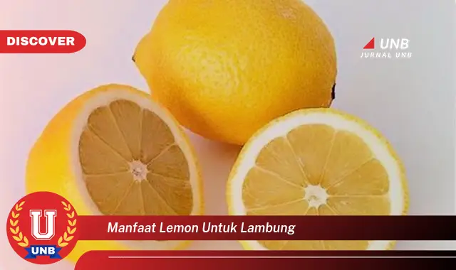 manfaat lemon untuk lambung