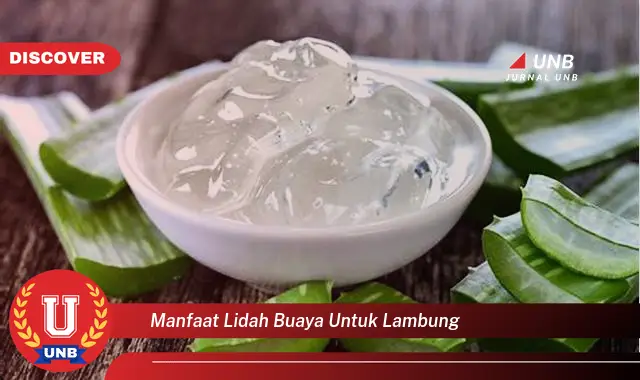 manfaat lidah buaya untuk lambung