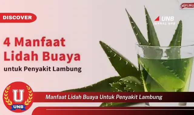 manfaat lidah buaya untuk penyakit lambung