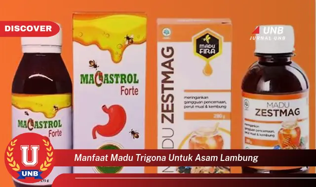 manfaat madu trigona untuk asam lambung