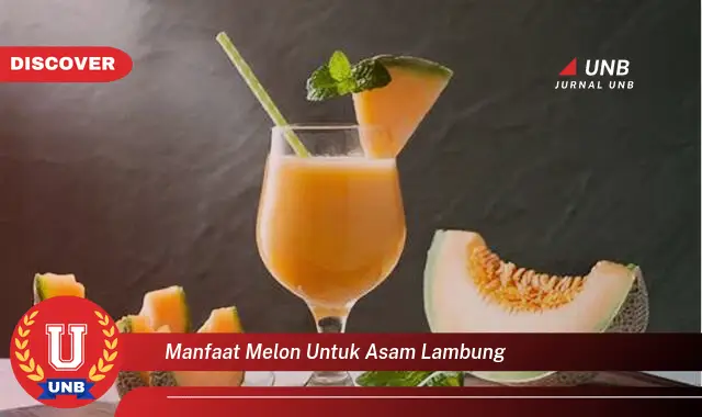 manfaat melon untuk asam lambung