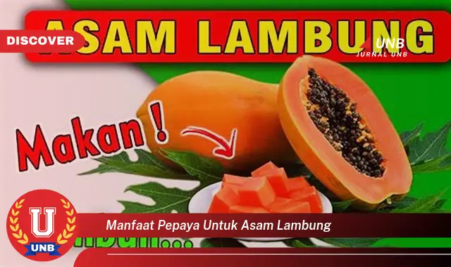 manfaat pepaya untuk asam lambung