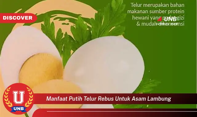 manfaat putih telur rebus untuk asam lambung