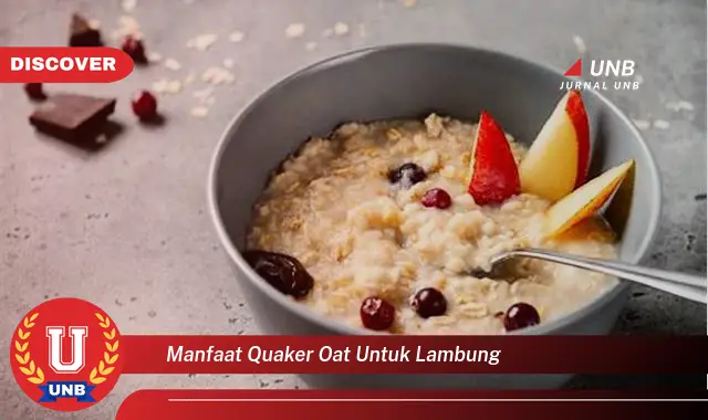 manfaat quaker oat untuk lambung