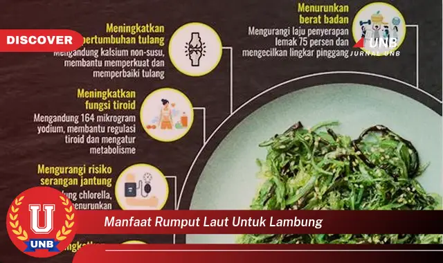 manfaat rumput laut untuk lambung manfaat rumput laut untuk lambung