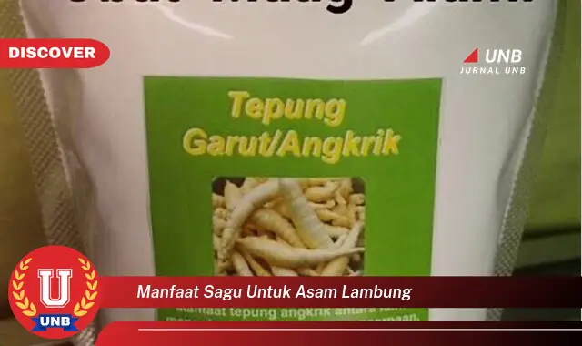 manfaat sagu untuk asam lambung