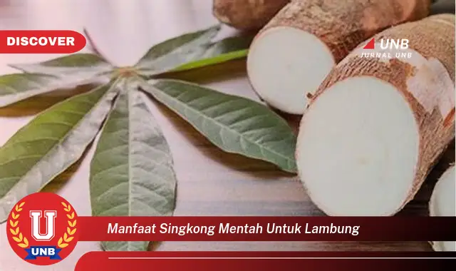 manfaat singkong mentah untuk lambung