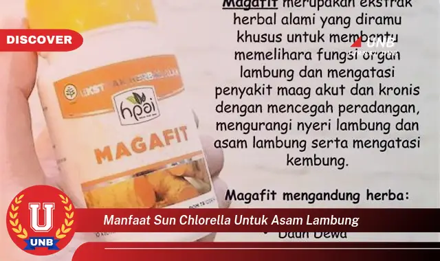 manfaat sun chlorella untuk asam lambung