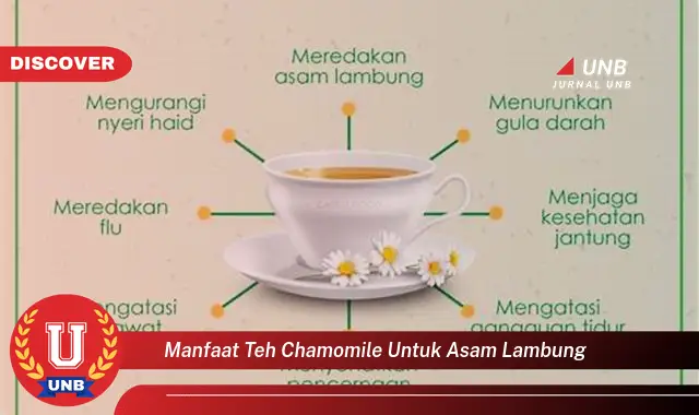 manfaat teh chamomile untuk asam lambung