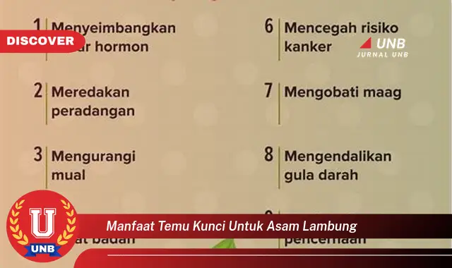 manfaat temu kunci untuk asam lambung